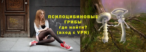 сатива Бронницы